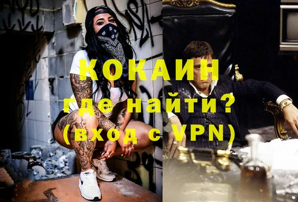 ГАЛЛЮЦИНОГЕННЫЕ ГРИБЫ Абаза