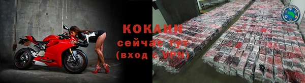 амф Алзамай