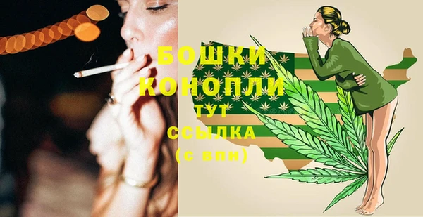 ГАЛЛЮЦИНОГЕННЫЕ ГРИБЫ Абаза