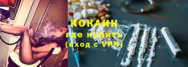 мяу мяу мука Аркадак