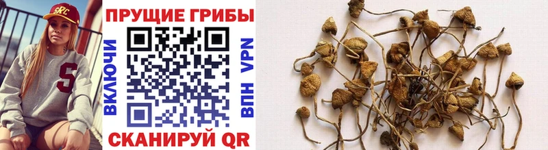 shop клад  Киров  Псилоцибиновые грибы ЛСД 